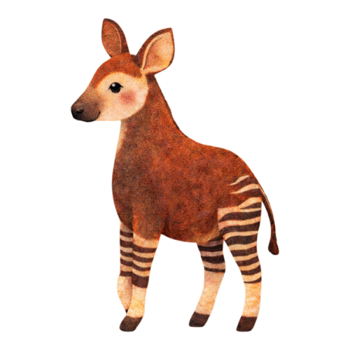 Okapi